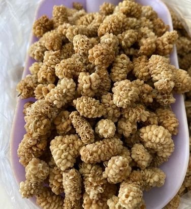Dried Mulberry