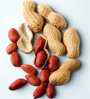 Peanut